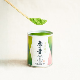 Jade Green Snail | Teelaadut