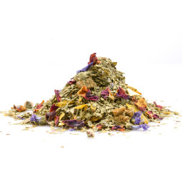Maté Aloe Vera