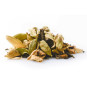 Black Chai Organic | Chai-tee