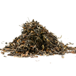 Jade Green Snail | Teelaadut