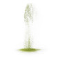Organic Ceremonial Théhuone Matcha