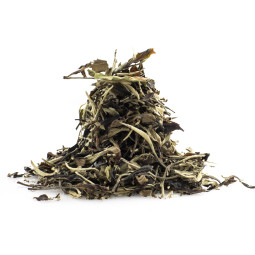 Wild White Tea