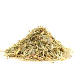 Sencha Mango | Vihreä tee