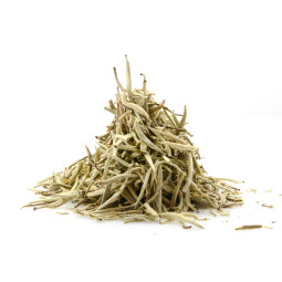 Yellow Needle Yunnan