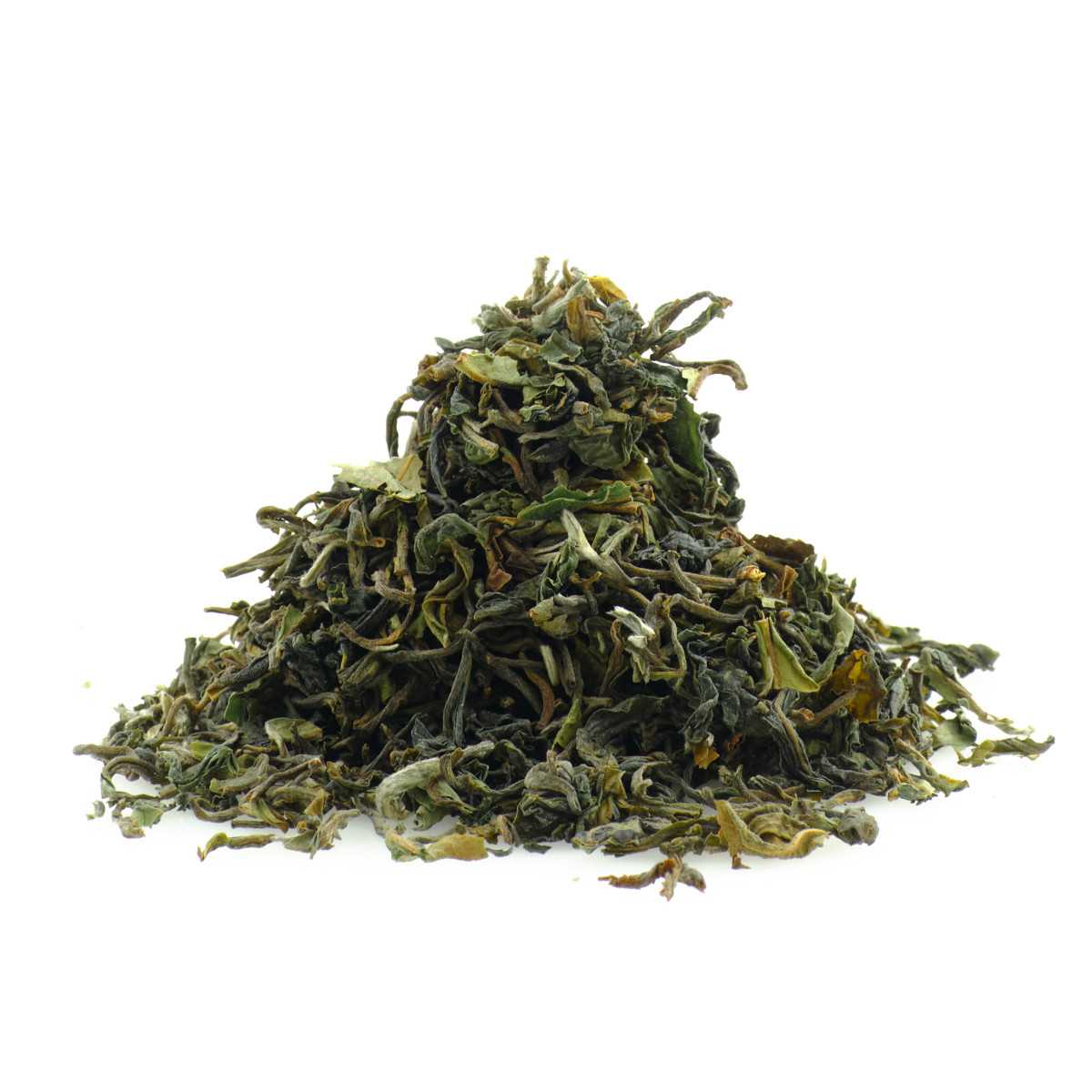 Rainforest Darjeeling Puttabong FF 2025 | Musta tee