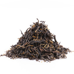 Harmutty S.T.G.F.O.P. | Musta tee