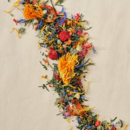 Sencha Lime Strawberry | Vihreä tee